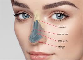 Rhinoplasty Cost Nagpur